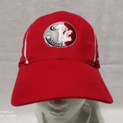 Gorra De Los Seminoles De Florida Marca Nike