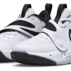 Tenis De Básquetbol Para Niños Nike Team Hustle D 11